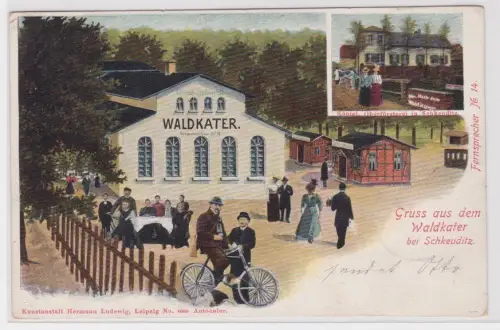 910485 Ak Gruss aus dem Waldkater bei Schkeuditz. 1901