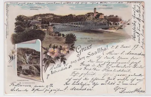 86941 Mehrbild Ak Gruss aus dem Saalthal. Halle a. S. 8 Juni 1897
