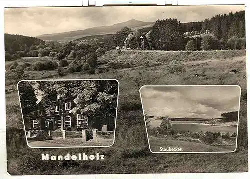 Alte Ansichtskarte/AK/Postkarte: Mandelholz / Harz - Gaststätte „Grüne Tanne“