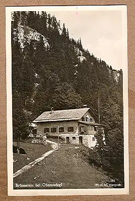 Alte Ansichtskarte/AK/Postkarte: Brünnstein bei Oberaudorf