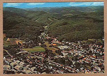 Alte Ansichtskarte/AK/Postkarte: Bad Bergzabern / Südl. Weinstraße