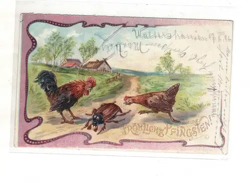 AK Fröhliche Pfingsten Maikäfer und Hühner Lithographie 1902