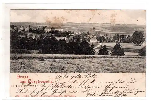 AK Oberpfalz Burgtreswitz Kreis Neustadt an der Waldnaab