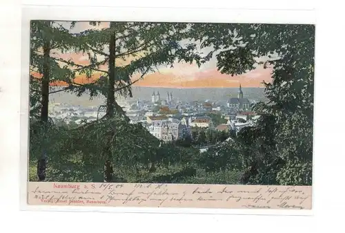 AK Sachsen-Anhalt ; Naumburg an der Saale 1904