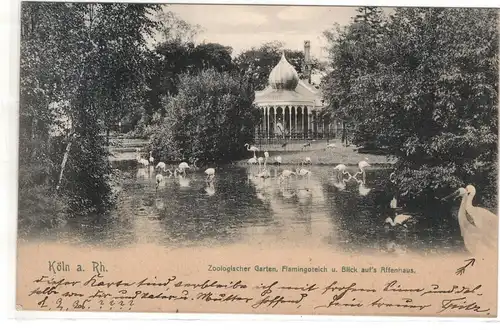 AK Nordrhein Westfahlen ; Köln Zoo mit Flamingo Teich und Affenhaus 1906