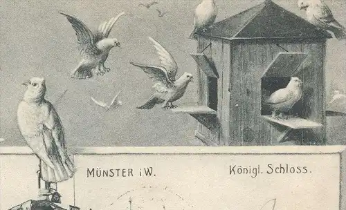 ALTE POSTKARTE MÜNSTER SCHLOSS VIELE GRÜSSE KLEINE EILBOTEN BRIEFTAUBE FANTASIE Taube pigeon voyageur carrier pigeon