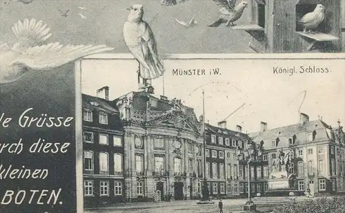 ALTE POSTKARTE MÜNSTER SCHLOSS VIELE GRÜSSE KLEINE EILBOTEN BRIEFTAUBE FANTASIE Taube pigeon voyageur carrier pigeon