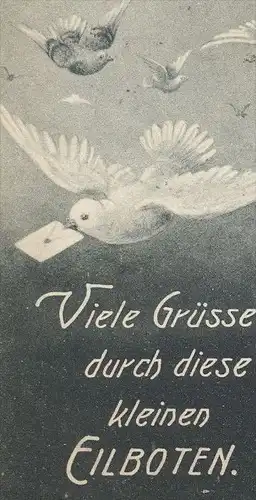 ALTE POSTKARTE MÜNSTER SCHLOSS VIELE GRÜSSE KLEINE EILBOTEN BRIEFTAUBE FANTASIE Taube pigeon voyageur carrier pigeon