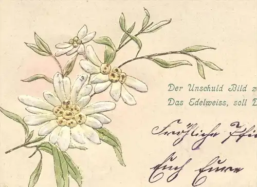 ALTE PRÄGE POSTKARTE EDELWEISS 1901 DER UNSCHULD BILD Pflanze flower embossed postcard cpa gauffrée Ansichtskarte