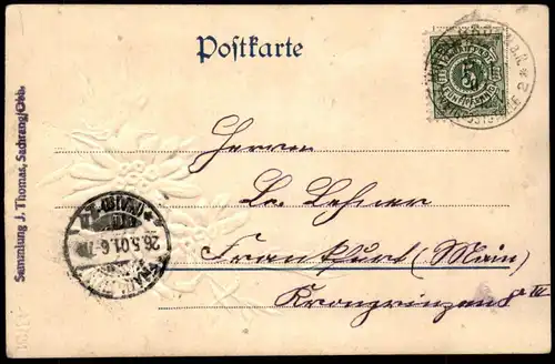 ALTE PRÄGE POSTKARTE EDELWEISS 1901 DER UNSCHULD BILD Pflanze flower embossed postcard cpa gauffrée Ansichtskarte