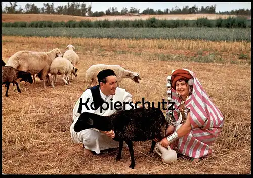 ÄLTERE POSTKARTE LIBYA VEDUTA CAMPESTRE RURAL VIEW VUE CHAMPETRE TRACHT traditional costume folklorique libye sheep cpa