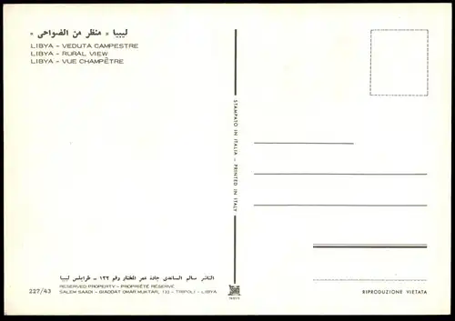 ÄLTERE POSTKARTE LIBYA VEDUTA CAMPESTRE RURAL VIEW VUE CHAMPETRE TRACHT traditional costume folklorique libye sheep cpa