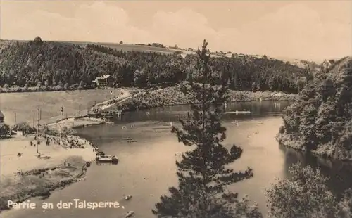 ALTE POSTKARTE MITTWEIDA IN SACHSEN PARTIE AN DER TALSPERRE MARKT TECHNIKUM Oldtimer Fischhandlung Hotel Ansichtskarte