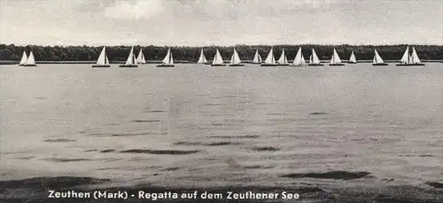 ALTE POSTKARTE ZEUTHEN MARK BRANDENBURG REGATTA AUF DEM ZEUTHENER SEE régate sailing Rennen cpa postcard Ansichtskarte