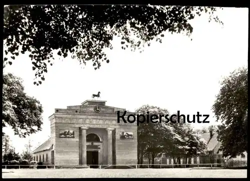 ÄLTERE POSTKARTE REDEFIN KREIS HAGENOW REITHALLE DES STAATLICHEN HENGSTDEPOTS ERBAUT 1819 manège postcard Ansichtskarte