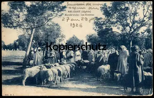 ALTE POSTKARTE RELIZANE MARCHÉ ARABE LES MOUTONS Markt market Schafe Schaf sheep Alger Algerien Algérie Algeria postcard