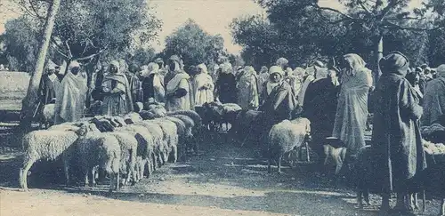 ALTE POSTKARTE RELIZANE MARCHÉ ARABE LES MOUTONS Markt market Schafe Schaf sheep Alger Algerien Algérie Algeria postcard