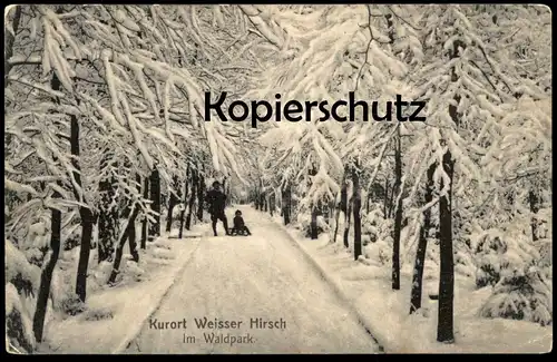 ALTE POSTKARTE KURORT WEISSER HIRSCH IM WALDPARK WINTER DRESDEN Schlitten luge sleigh Kind enfant child hiver Schnee AK