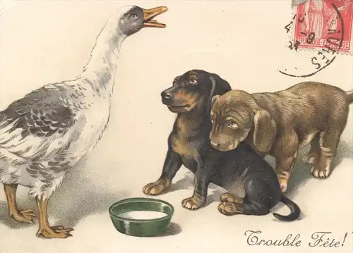 ALTE POSTKARTE DACKEL & GANS oie goose teckel basset dachshund dog Hund Milch chien Humour Humor postcard  Ansichtskarte