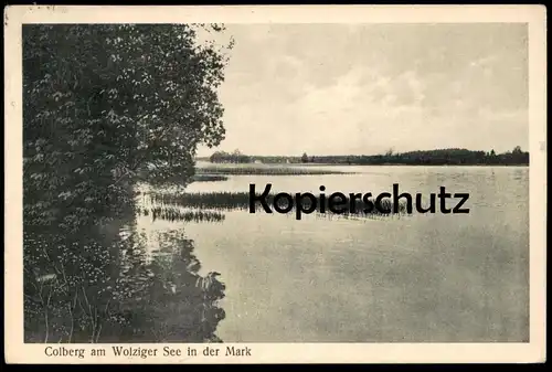 ALTE POSTKARTE COLBERG AM WOLZIGER SEE IN DER MARK Kolberg Heidesee bei Königs Wusterhausen Ansichtskarte cpa postcard