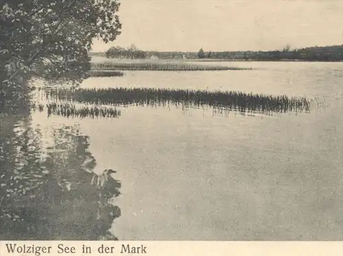 ALTE POSTKARTE COLBERG AM WOLZIGER SEE IN DER MARK Kolberg Heidesee bei Königs Wusterhausen Ansichtskarte cpa postcard