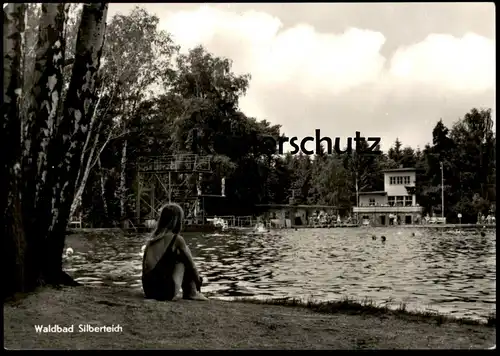 ÄLTERE POSTKARTE WALDBAD SILBERTEICH SEIFHENNERSDORF Schwimmbad Bad piscine swimming pool bath Frau woman girl cpa AK