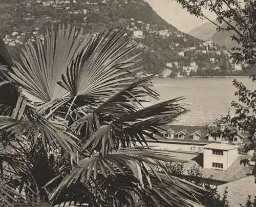 ALTE POSTKARTE LUGANO MONTE BRÈ Palme palm Tessin Suisse Schweiz Helvetia postcard cpa Ansichtskarte AK