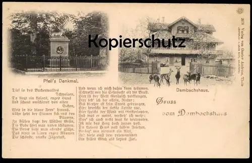 ALTE POSTKARTE GRUSS VOM DAMBACHSHAUS THALE DAMBACHHAUS REHE HIRSCH Reh Hirsche Roe fallow deer daim chevreuil cerf cpa