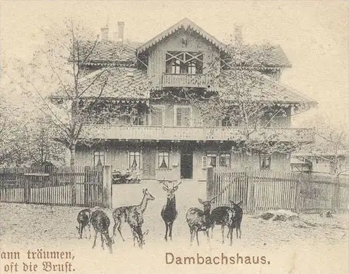 ALTE POSTKARTE GRUSS VOM DAMBACHSHAUS THALE DAMBACHHAUS REHE HIRSCH Reh Hirsche Roe fallow deer daim chevreuil cerf cpa