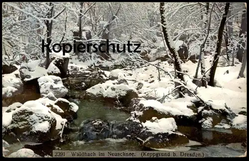 ALTE POSTKARTE WALDBACH IM NEUSCHNEE KEPPGRUND BEZ. DRESDEN Hosterwitz Sachsen Winter Schnee snow hiver Ansichtskarte AK