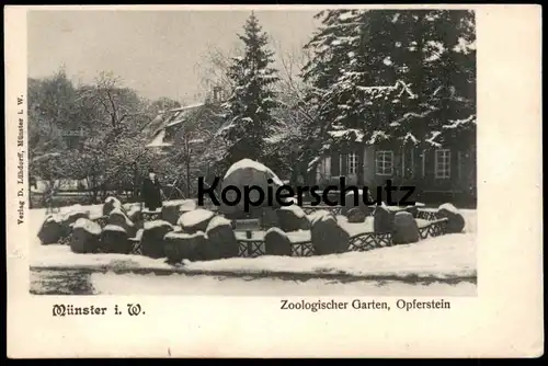 ALTE POSTKARTE MÜNSTER ZOOLOGISCHER GARTEN ZOO OPFERSTEIN IM WINTER Denkmal monument cpa AK