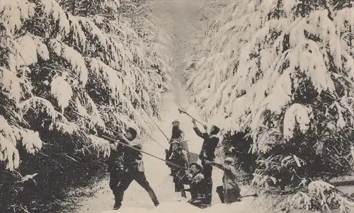 ALTE POSTKARTE HISTORISCHE BÖHÄMMERJAGD ZU BERGZABERN Jagd hunting chasse chase rifle Gewehr postcard cpa AK