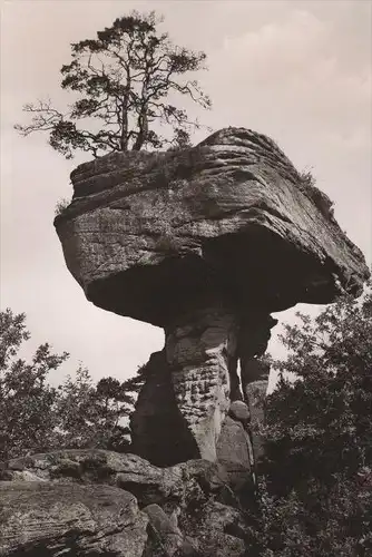 ÄLTERE POSTKARTE PIRMASENS PFALZ TEUFELSTISCH Felsformation Felsen Fels AK Ansichtskarte cpa postcard