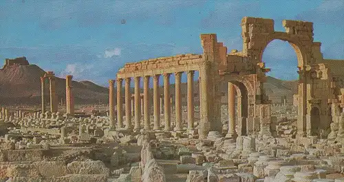 ÄLTERE POSTKARTE PALMYRE GREAT COLONNADE Palmyra Tadmur Syrie Syria Syrien cpa postcard AK Ansichtskarte