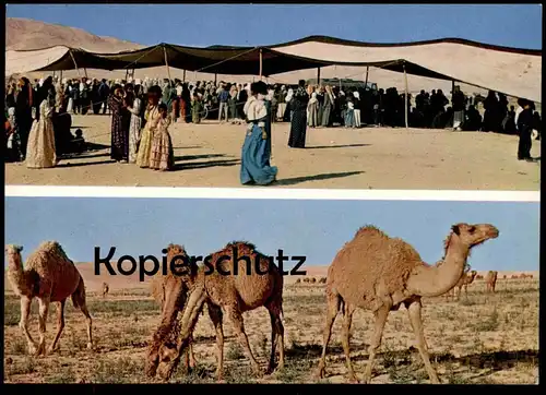 ÄLTERE POSTKARTE LE DÉSERT LES PRÉPARATIFS DE LA NOCE ET LES CHAMEAUX BEFORE A WEDDING CAMEL Hochzeit Syrien Syria cpa