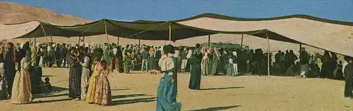 ÄLTERE POSTKARTE LE DÉSERT LES PRÉPARATIFS DE LA NOCE ET LES CHAMEAUX BEFORE A WEDDING CAMEL Hochzeit Syrien Syria cpa