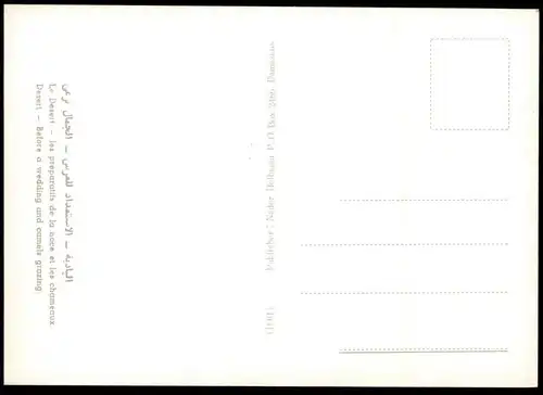 ÄLTERE POSTKARTE LE DÉSERT LES PRÉPARATIFS DE LA NOCE ET LES CHAMEAUX BEFORE A WEDDING CAMEL Hochzeit Syrien Syria cpa