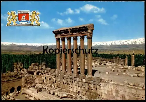 ÄLTERE POSTKARTE LIBANON BAALBECK SÄULEN DES JUPITERTEMPELS PILLARS OF JUPITER TEMPLE Lebanon Liban postcard cpa AK