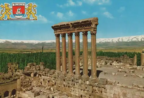 ÄLTERE POSTKARTE LIBANON BAALBECK SÄULEN DES JUPITERTEMPELS PILLARS OF JUPITER TEMPLE Lebanon Liban postcard cpa AK