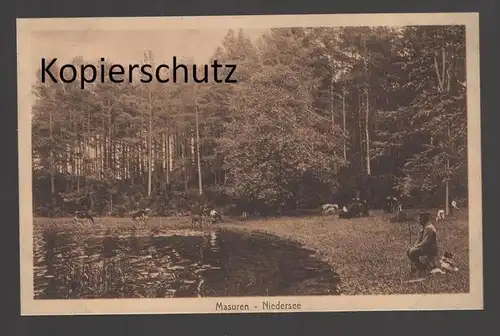 ALTE POSTKARTE MASUREN NIEDERSEE ANGLER Kühe Schafe Ostpreussen AK Ansichtskarte cpa postcard