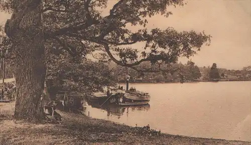 ALTE POSTKARTE MASUREN RUDCZANNY GUSZIENSEE Boot boat ship Ostpreussen AK Ansichtskarte cpa postcard