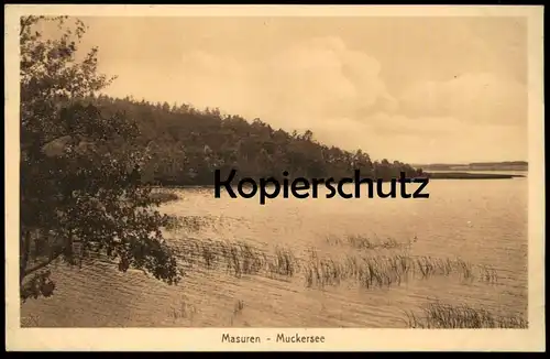 ALTE POSTKARTE MASUREN MUCKERSEE Ostpreussen AK Ansichtskarte cpa postcard