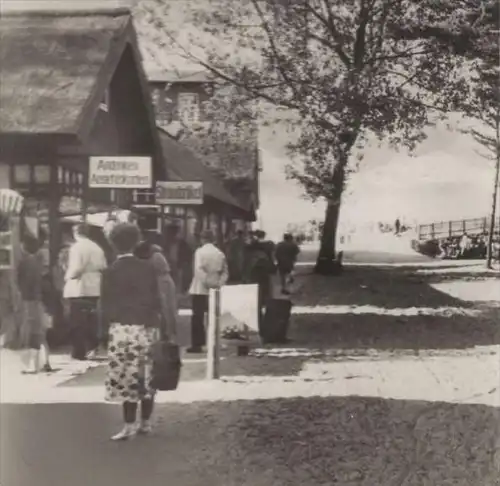 ÄLTERE POSTKARTE GRUSS AUS PREROW DARSS OSTSEE cpa postcard AK Ansichtskarte