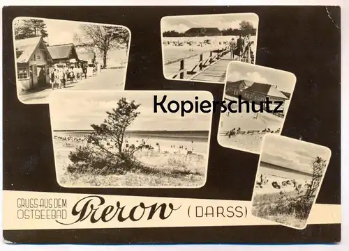 ÄLTERE POSTKARTE GRUSS AUS DEM OSTSEEBAD PREROW DARSS Ostsee postcard Ansichtskarte cpa AK