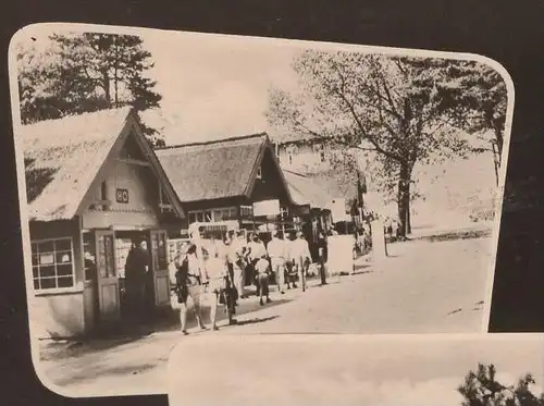 ÄLTERE POSTKARTE GRUSS AUS DEM OSTSEEBAD PREROW DARSS Ostsee postcard Ansichtskarte cpa AK