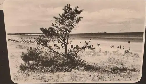 ÄLTERE POSTKARTE GRUSS AUS DEM OSTSEEBAD PREROW DARSS Ostsee postcard Ansichtskarte cpa AK