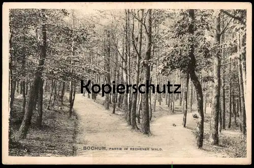 ALTE POSTKARTE BOCHUM PARTIE IM RECHENER WALD Wanderwege Bäume Ansichtskarte AK postcard cpa