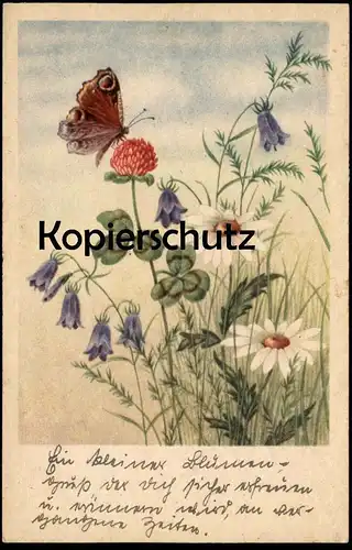 ALTE KÜNSTLER POSTKARTE SCHMETTERLING TAGPFAUENAUGE 1944 peacock butterfly papillon Ehrenforst Schlesien Ansichtskarte