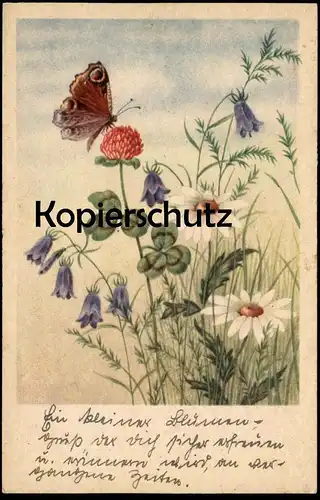 ALTE KÜNSTLER POSTKARTE SCHMETTERLING TAGPFAUENAUGE 1944 peacock butterfly papillon cpa postcard AK Ansichtskarte