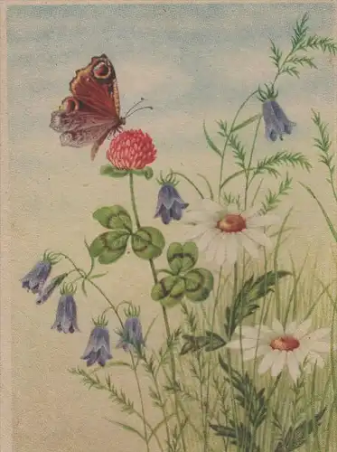 ALTE KÜNSTLER POSTKARTE SCHMETTERLING TAGPFAUENAUGE 1944 peacock butterfly papillon cpa postcard AK Ansichtskarte